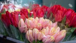 Россиян предупредили о мошенничестве с «доставкой» цветов к 8 Марта