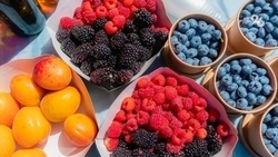 На Ставрополье вырастет сумма инвестиций в прорывные проекты на 84,5 млрд