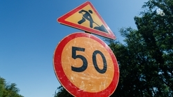 Губернатор поручил отремонтировать освещение и дорогу на улице Михайловска