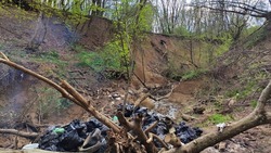 Нелегальная канализация отравляет реку Мамайку в Ставрополе