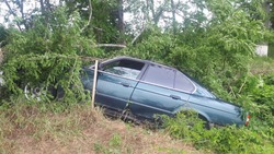 Водитель BMW потерял сознание и врезался в дерево в Курском округе