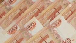 Налоговые доходы бюджета Ставрополья выросли на 8,2% за год