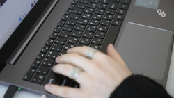 Жители Ставрополья и ЛНР провели онлайн-встречу в честь Дня народного единства