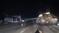 Младенец, подросток и двое взрослых погибли в ночном ДТП на Ставрополье