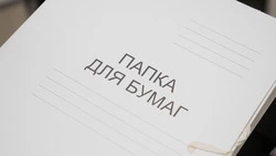 На Ставрополье экс-директор школы вымогала с педагога по 10 тыс. каждый месяц