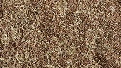 Ставрополье перевыполнило план по экспорту АПК на 3% в 2025 году