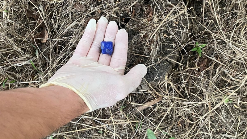 В покушении на сбыт наркотиков подозревают жителя Благодарненского округа