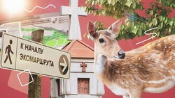 По следам пятнистых оленей: экотропу открыли в крупнейшем заказнике Ставрополья