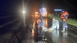 Пешеход погиб под колёсами фуры на ночной трассе Ростов-на-Дону — Ставрополь