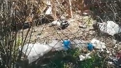 Мусор и пластиковые бутылки захламили газон в Ставрополе