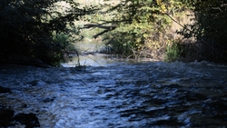 В Невинномысске по иску прокуратуры очистят реку Кубань от сточных вод 