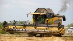 54,1 тыс. га зерновых полей скосили аграрии Кировского округа