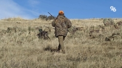 Житель Дагестана выстрелил в друга, перепутав его с шакалом