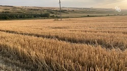 Фермер в Андроповском округе выплатит 7 млн рублей за поджог полей конкурента