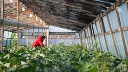 Более 4,7 тыс. соцконтрактов на 1 млрд руб. заключили на Ставрополье в 2025 году