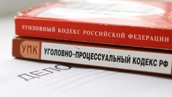 Помощника дизайнера в Ставрополе подозревают в мошенничестве на 8 млн рублей