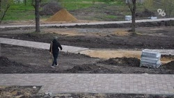 Беседки, лавочки и подвесная лестница: в селе Кочубеевском обустраивают экологический парк