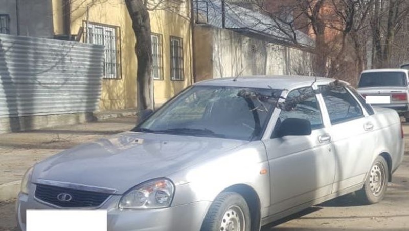 Два человека пострадали из-за упавшей на машину ветки в Кисловодске