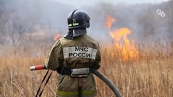 Распространение пожара площадью 25 га пытаются предотвратить в Шпаковском округе