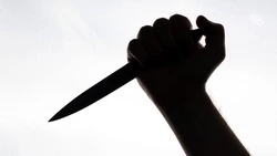 В Михайловске вынесли приговор пенсионеру за 26 смертельных ударов ножами