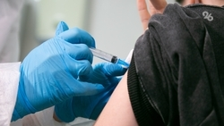 Российский инфекционист рассказал о вакцинации перед путешествием за рубеж 