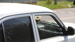 Водители до 25 лет чаще подвержены сонливости за рулём