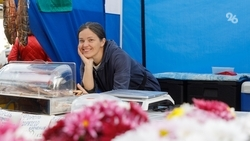 «Всё бесподобное — и люди, и товары»: на Ставрополье начали работать вечерние ярмарки