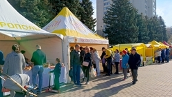 Владимир Путин поручил главам регионов курировать продвижение местных брендов