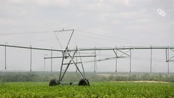 На Ставрополье увеличат рост сельхозпроизводства за счёт развития орошения