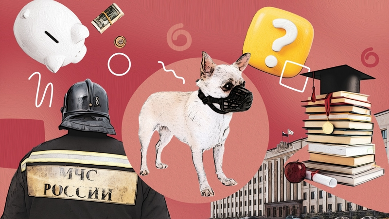 Награда герою, привет с Луганщины и штрафы для нарушителей: чем запомнилось 50-е заседание Думы Ставропольского края