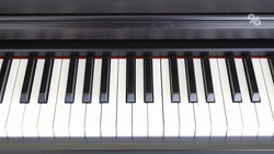 Новые фортепиано закупили в детскую музыкальную школу в Лермонтове 