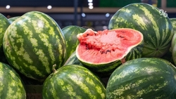 Эксперты рассказали, какую еду можно передать ребёнку в детский лагерь летом