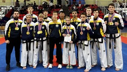 Ставропольские тхэквондисты завоевали 15 медалей на всероссийском турнире