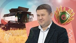 «В амбар положим и цифру доведём»: какой прогноз на урожай 2026 года даёт минсельхоз Ставрополья