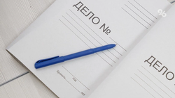 Бастрыкин поручил проверить информацию о мигрантах, угрожавших девочке в Ставрополе 