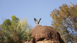 Ставрополье поучаствует в онлайн-проекте достижений России