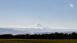 Больше тысячи ставропольских детей отдохнули на КМВ и в Краснодарском крае