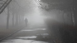 Ставропольцев предупредили о тумане и сильном ветре с порывами до 18 м/с
