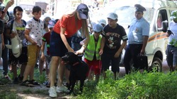 Собака-спасатель нашла в ставропольском лесу условно заблудившихся детей
