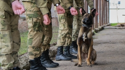 Кинологи Росгвардии готовятся на Ставрополье к соревнованиям в Беларуси