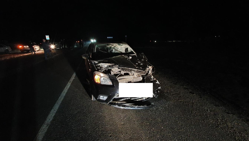 В Курском округе пешеход внезапно выбежал на дорогу и погиб под колёсами автомобиля 