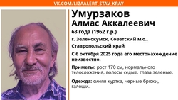 Пропавшего пенсионера в синей куртке и галошах три дня ищут на Ставрополье 