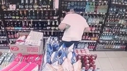 Двух ставропольцев подозревают в краже трёх бутылок спиртного из магазина