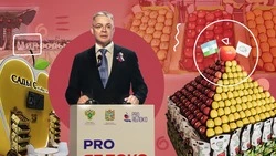 «Зеркало развития садоводства»: что представили на выставке «PRО ЯБЛОКО» в Минводах