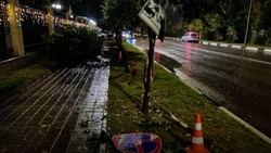 Пьяный водитель в Кисловодске сбил дорожный знак и пытался сбежать