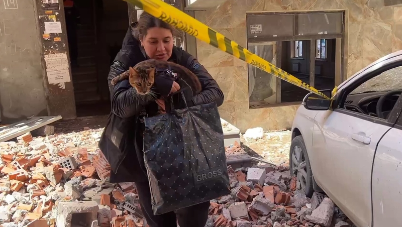 В Дагестане спасли кота, потерявшегося во время взрыва в многоэтажке