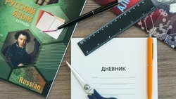 Проведение всероссийских проверочных работ в школах Ставрополья перенесут на сентябрь 2022 года