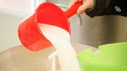 Более 24 тонн продукции изготовило из трёх литров молока предприятие в Ставрополе