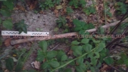 Мужчина умер в Изобильненском округе после удара палкой по спине от знакомого