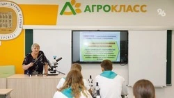 Агрокласс открыли в школе №23 Кочубеевского округа